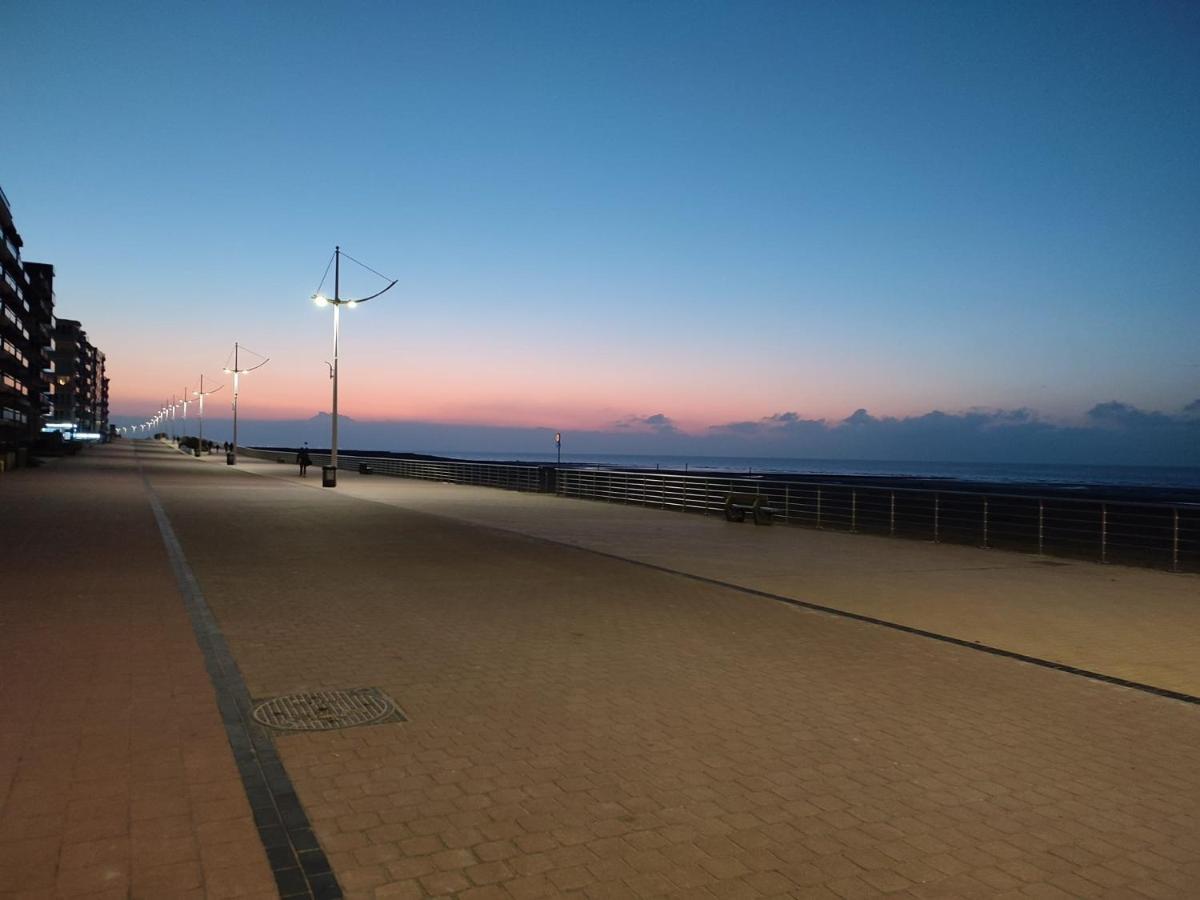 Zilverzand Aan Zee - Frontaal Zeezicht Koksijde Exteriér fotografie